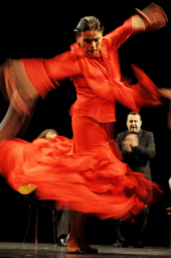 フラメンコ舞踊団「Noche Flamenca」、8年ぶりの豪州公演へ