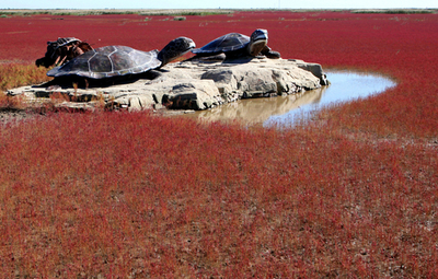 真っ赤な湿原が広がる紅海灘、中国