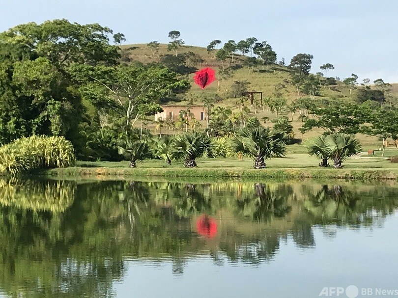 畑に現れた「傷」 巨大女性器彫刻でジェンダー問題提起 ブラジル