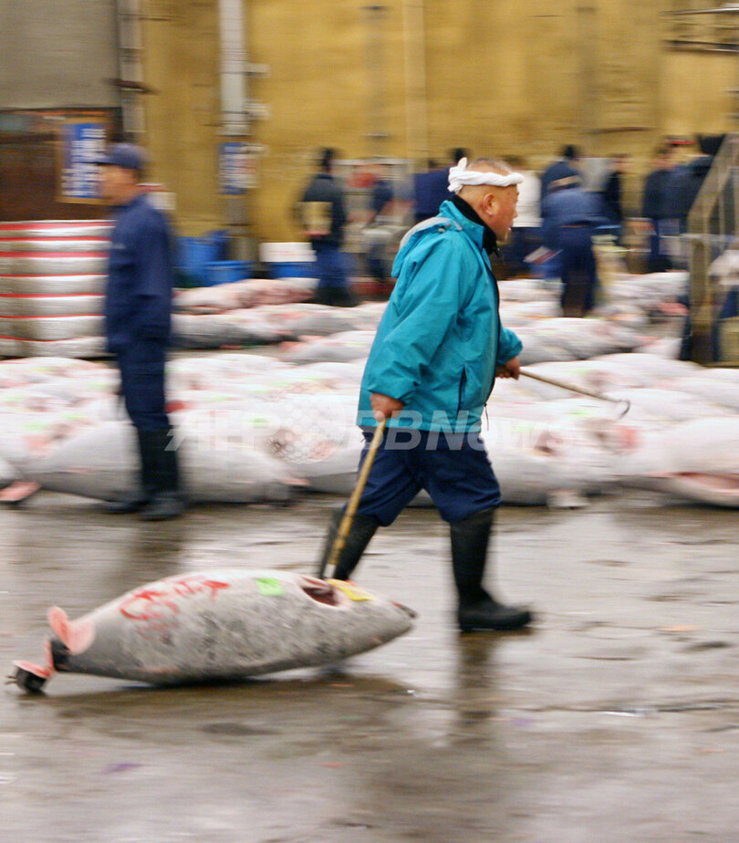 神戸で初の「マグロ保全」国際会合 - 兵庫