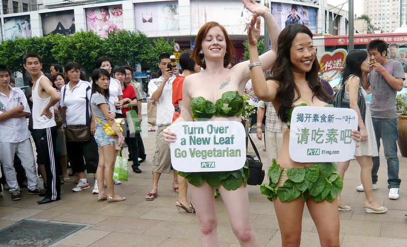 動物愛護団体PETAが中国進出、レタスのビキニで菜食訴え 動物愛護団体PETAが中国進出、レタスのビキニで菜食訴え
