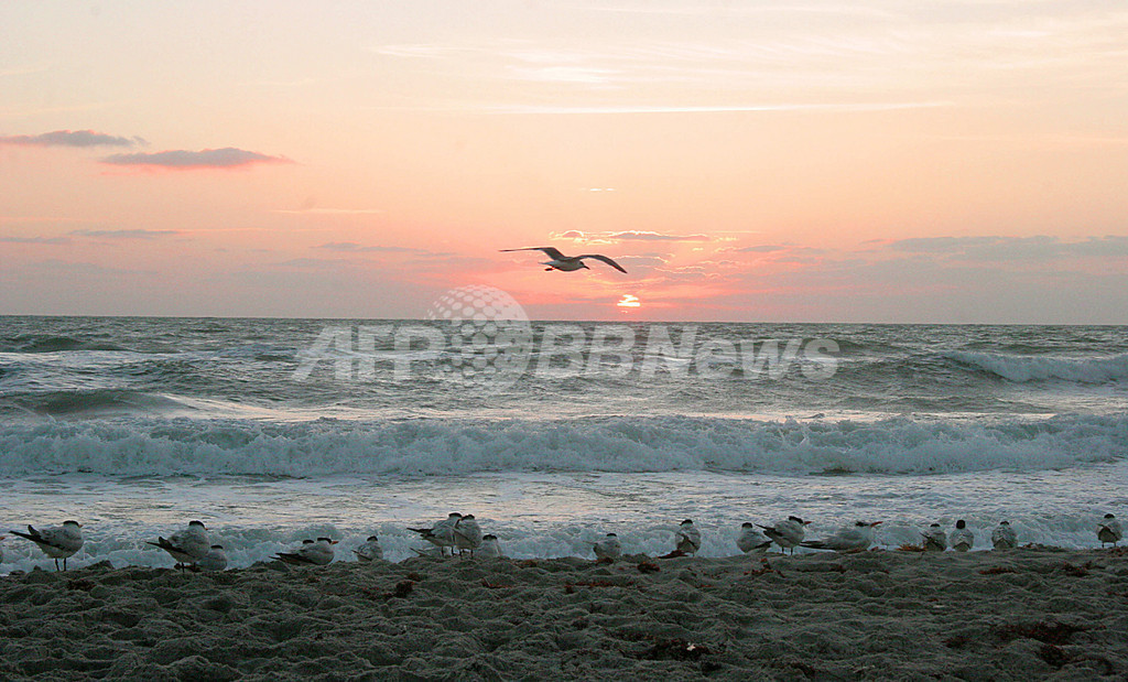 海底に無数の巨大鉄パイプ? 温暖化阻止の奇策 海底に無数の巨大鉄パイプ? 温暖化阻止の奇策