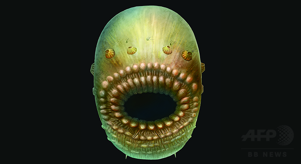 【特集】古代生物図鑑～太古に生きた奇妙な動物たち