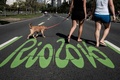 ブラジル・リオデジャネイロの道路に書かれた五輪の文字（2016年6月26日撮影）。(c)AFP/YASUYOSHI CHIBA
