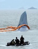 韓国南西部珍島（Jindo）郡屏風（Byungpoong）沖で、沈没した旅客船セウォル（Sewol）号の乗客の救出に当たる沿岸警備隊（2014年4月17日撮影）。(c)AFP/ED JONES