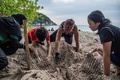 マレーシア・レダン島にあるアオウミガメの営巣地で作業にあたるボランティアら。（2020年6月27日撮影）。(c)Mohd RASFAN / AFP