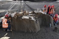 メキシコ・スンパンゴで発見されたマンモスの骨（2020年9月8日撮影）。(c)RODRIGO ARANGUA / AFP