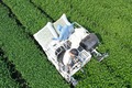 茶樹の間を縫うように進む乗用型摘採機（2022年7月12日撮影）。(c)Xinhua News