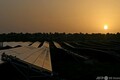 2070年までに排出ゼロ目指すインド、砂漠一面のソーラーパネル インド・ラジャスタン州に設置された太陽光パネル(2021年10月7日撮影)。(c)SAJJAD HUSSAIN / AFP