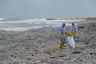 浜辺一面プラスチック粒…火災コンテナ船の積み荷漂着 スリランカ