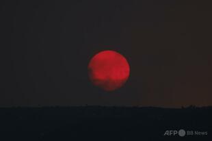フランス・スペイン山火事で32万人以上が避難 更なる熱波で火災拡大の懸念