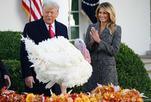 トランプ氏、感謝祭の七面鳥に「恩赦」 自身の敗北には触れず 写真9枚