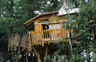 お泊まりは木の枝の上、独テーマパークの「ツリー・ホテル」拡張中