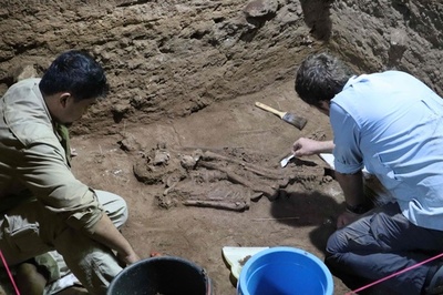 3万1000年前に足切断手術 インドネシアで発見の人骨に痕跡