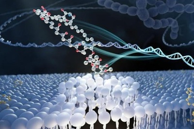 中国の科学者が多剤耐性真菌を撃退できる化合物を発見