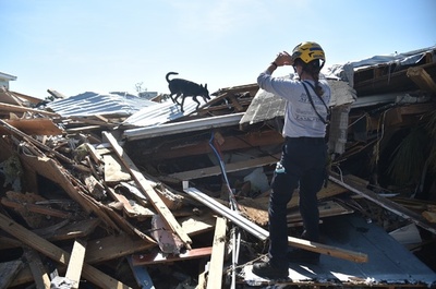 ハリケーン「マイケル」の死者30人に 米フロリダ州で停電続く