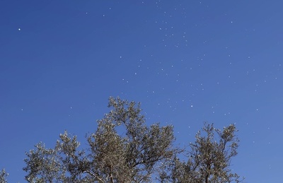 イスラエル軍、ガザ住民10万人に退避警告 上空からビラ散布