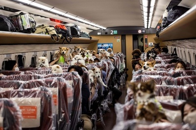 【今日の1枚】ワンダフルな旅は新幹線で