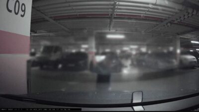 ボンネットにひどい傷…韓国・ドライブレコーダーが捉えた「ペットボトル乱打」の衝撃映像