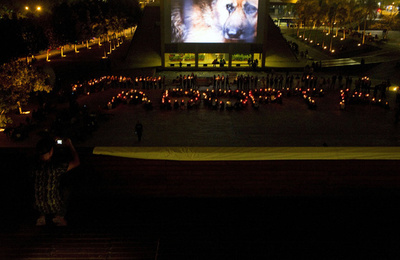 ホームレスの動物を救って！活動家がデモ コロンビア