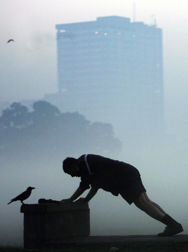 北部、冬期濃霧で交通の遅れ相次ぐ - インド