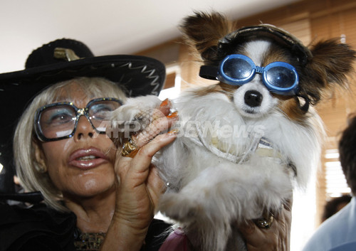 ピクサー3dアニメのしゃべる犬 パルム ドッグ 賞を受賞 写真3枚 ファッション ニュースならmode Press Powered By Afpbb News