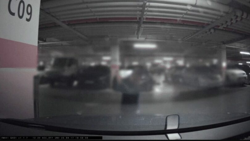 「ボベドリーム」(c)news1