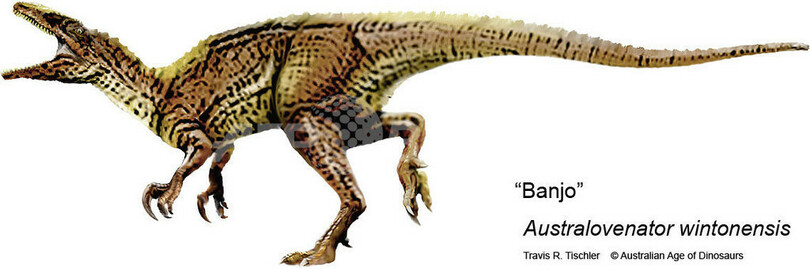 オーストラリアで新種の恐竜の化石発見