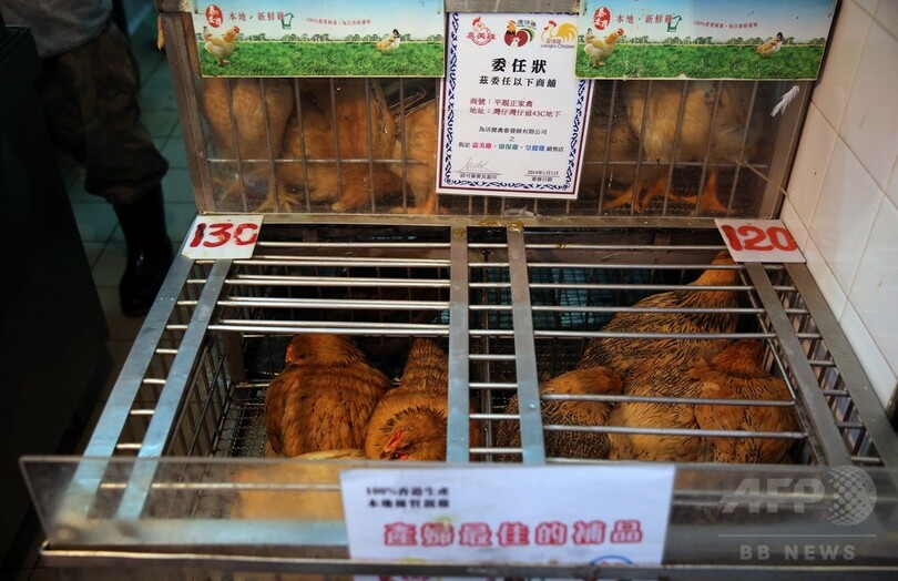 中国の鳥インフル、死者は前年比約3倍