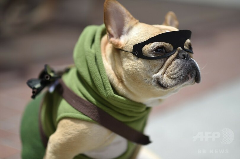 「コミコン」にコスプレイヤー続々、米サンディエゴ