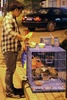 中国東部・江蘇（Jiangsu）省無錫（Wuxi）市で保護された猫の世話をするボランティア（2013年11月1日撮影）。(c)AFP
