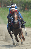 福島県の伝統祭り「相馬野馬追」は29日に2日目を迎え、東日本大震災の影響で前年は見送られていた主行事の甲冑（かっちゅう）競馬と神旗争奪戦が南相馬市で行われた。1000年にわたり続く祭りにはこの日、数万人が訪れ、約400騎が繰り広げる勇壮な伝統行事を楽しんだ。

写真は甲冑競馬で競り合う騎馬武者たち（2012年7月29日撮影）。(c)AFP/Toru YAMANAKA