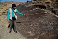 イラク中部ホメイン郊外の丘陵地帯で発見された古代の岩壁画を指さすモハメド・ナセリファルド博士（2016年10月24日撮影）。(c)AFP/ATTA KENARE