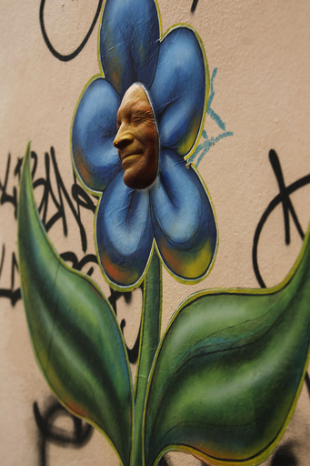 花の中からにっこり顔、パリのストリートアート