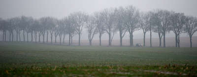 ドイツの冬、厳しい寒さが織りなす美しい風景