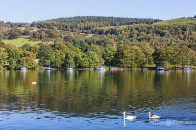 湖水地方の有名な湖に病原菌の「ホットスポット」  英報告書