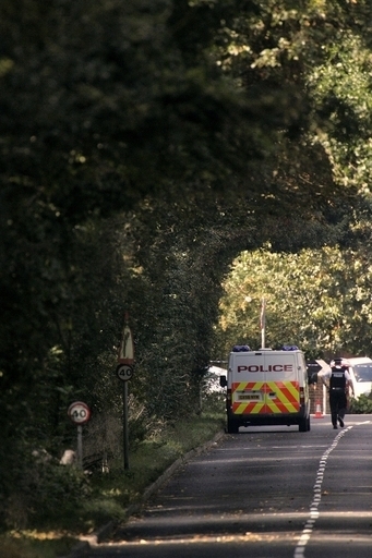 タデ食う虫は日本の虫、英国がイタドリ駆除に試験導入