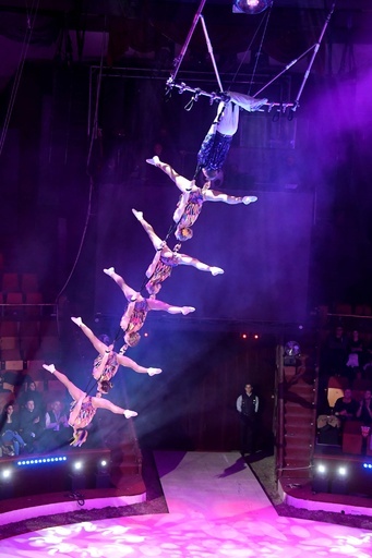 ブダペストでサーカスの祭典、華麗なパフォーマンス続々