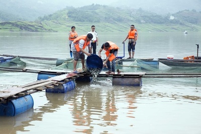 今年導入の長江禁漁令、それでも続く密漁