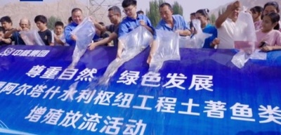 新疆・アルタシュ水利ハブで希少魚57万匹を放流