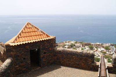 アフリカの島国で初の小頭症、専門家派遣しジカ熱を監視 WHO