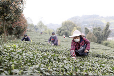 「二つの懸念解消と三つの保障」で貧困脱却 中国・重慶