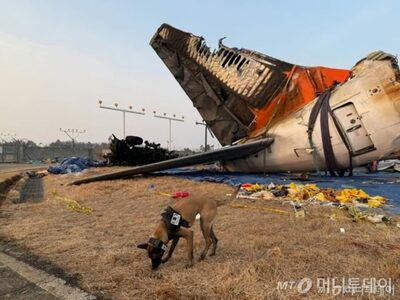 韓国・済州航空機事故、犠牲者の遺品を見つけた警察犬…9日間、滑走路周辺を捜索