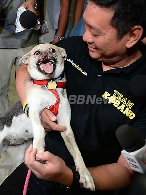 顔面失った英雄犬 治療終えフィリピンに帰国 写真13枚 ファッション ニュースならmode Press Powered By Afpbb News