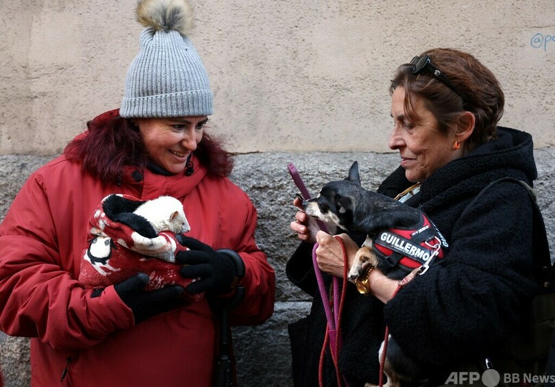 スペイン、動物虐待を厳罰化
