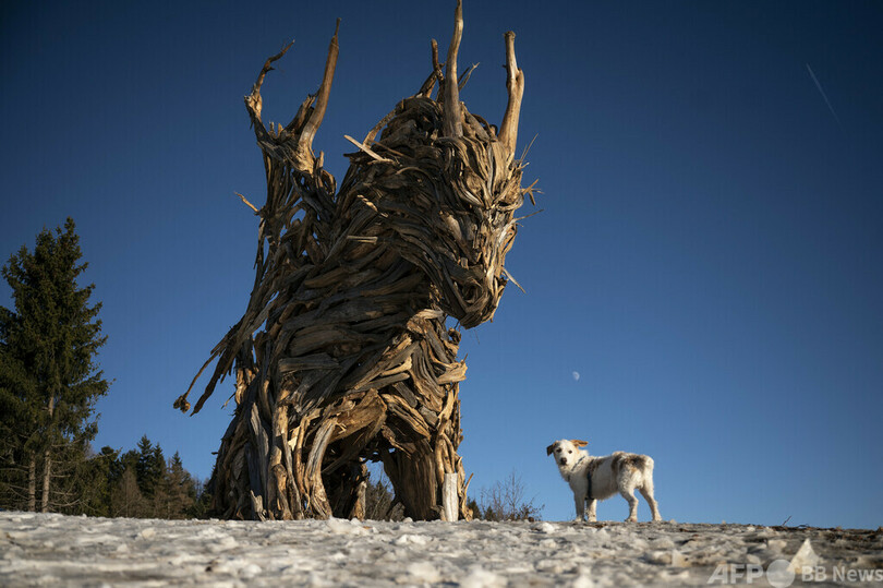 アルプス山中の巨大ドラゴン像 自然の怒り 表現 写真18枚 国際ニュース Afpbb News