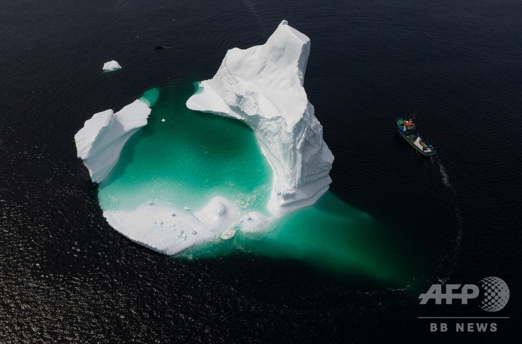 地球温暖化を追い風に カナダの流氷ハンター 写真18枚 国際ニュース Afpbb News