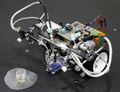 東京大学（Tokyo University）先端科学技術センター（Research Centre for Advanced Science and Technology、RCAST）の神崎研究室が製作した「昆虫脳操縦型ロボット」（2009年6月9日撮影）。(c)AFP/Yoshikazu TSUNO