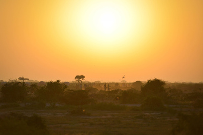 アフリカは30年までに自然エネルギー生産4倍増可能、IRENA