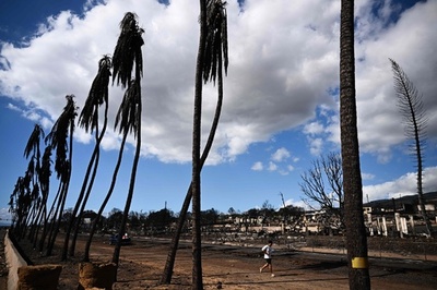 ハワイ山火事、死者89人に 延焼速度を過小評価か